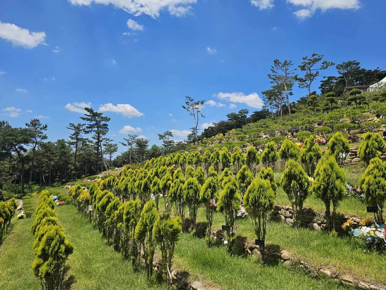 아이 어른 할 것 없이 편안한 분위기