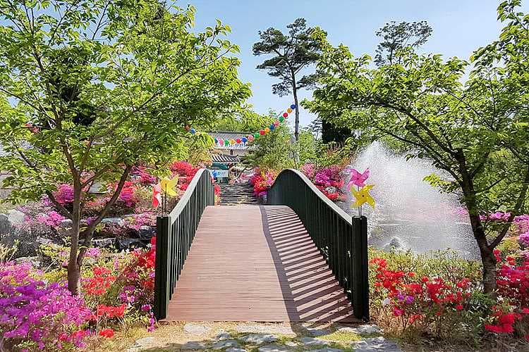 가족 평장묘 탁월한 선택