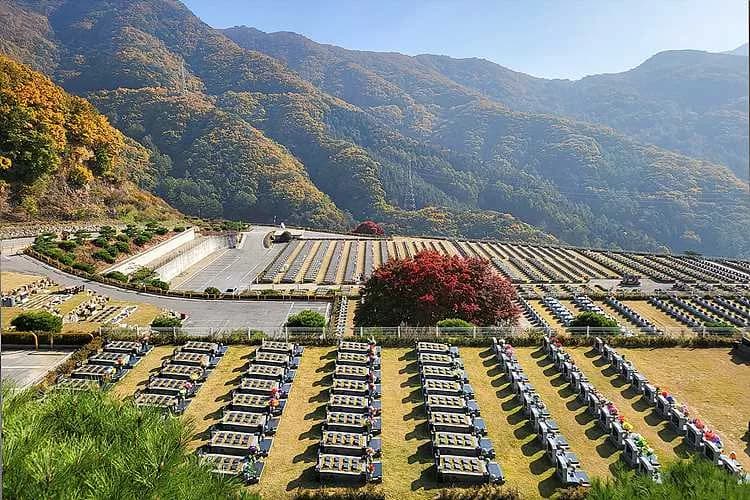 24시간 상담 가능해서 다행이었어요.