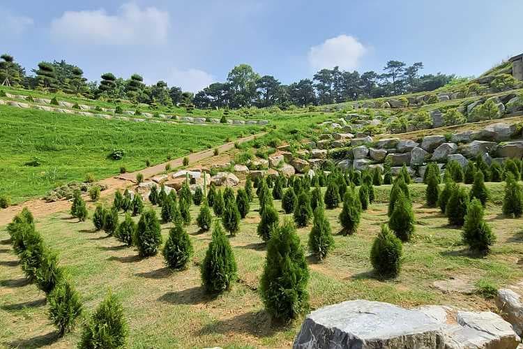 어머님이 너무 좋아하시네요.